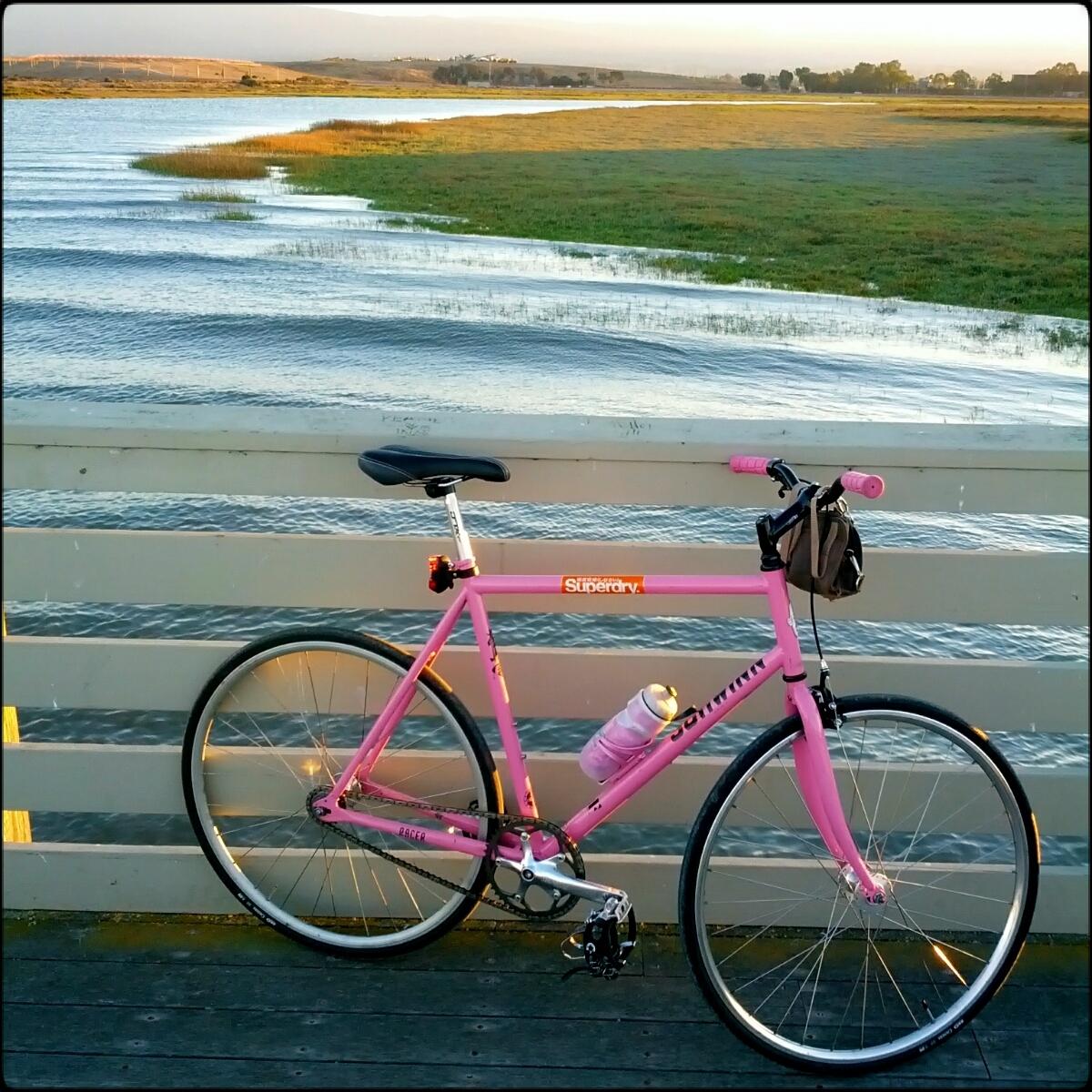 2011 Schwinn Racer Pink