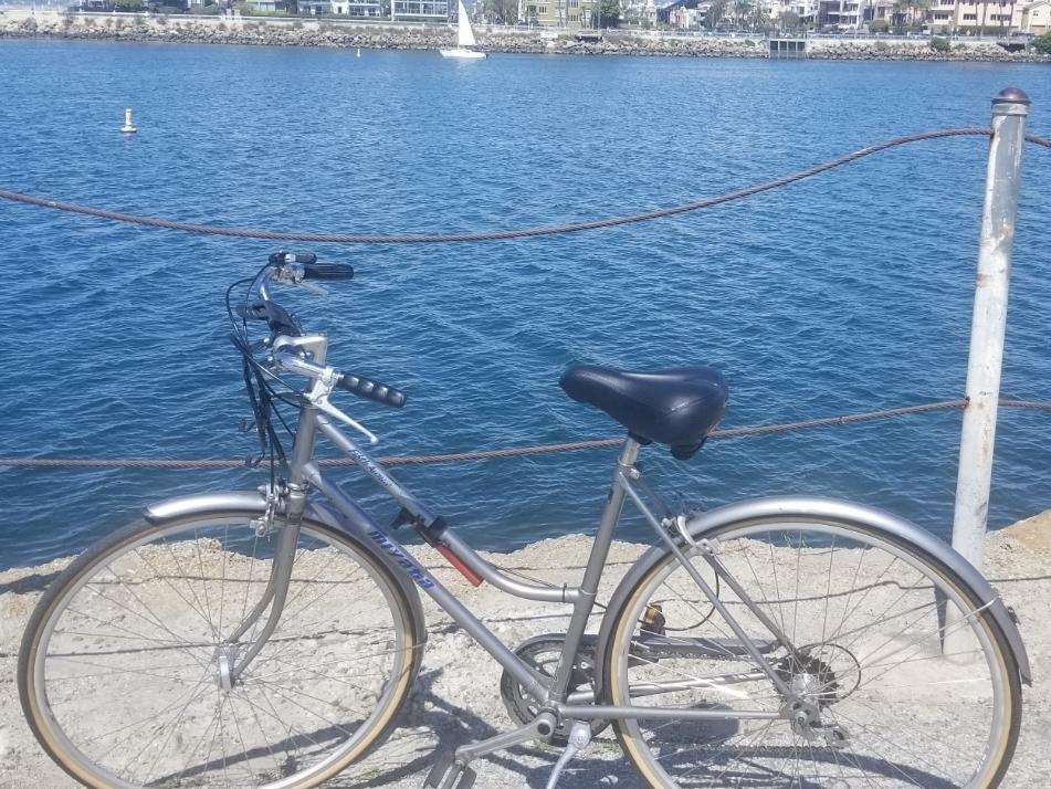 Miyata Silver, gray or bare metal