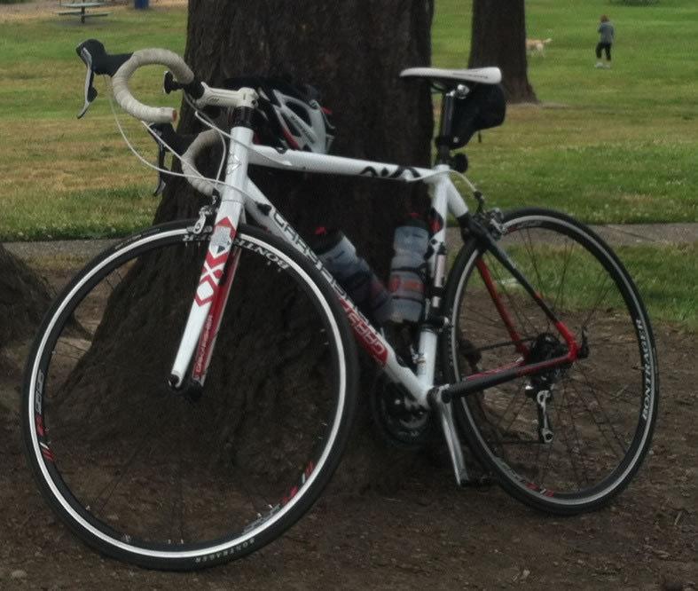 2009 Trek Gary Fisher Arc Pro T  Black