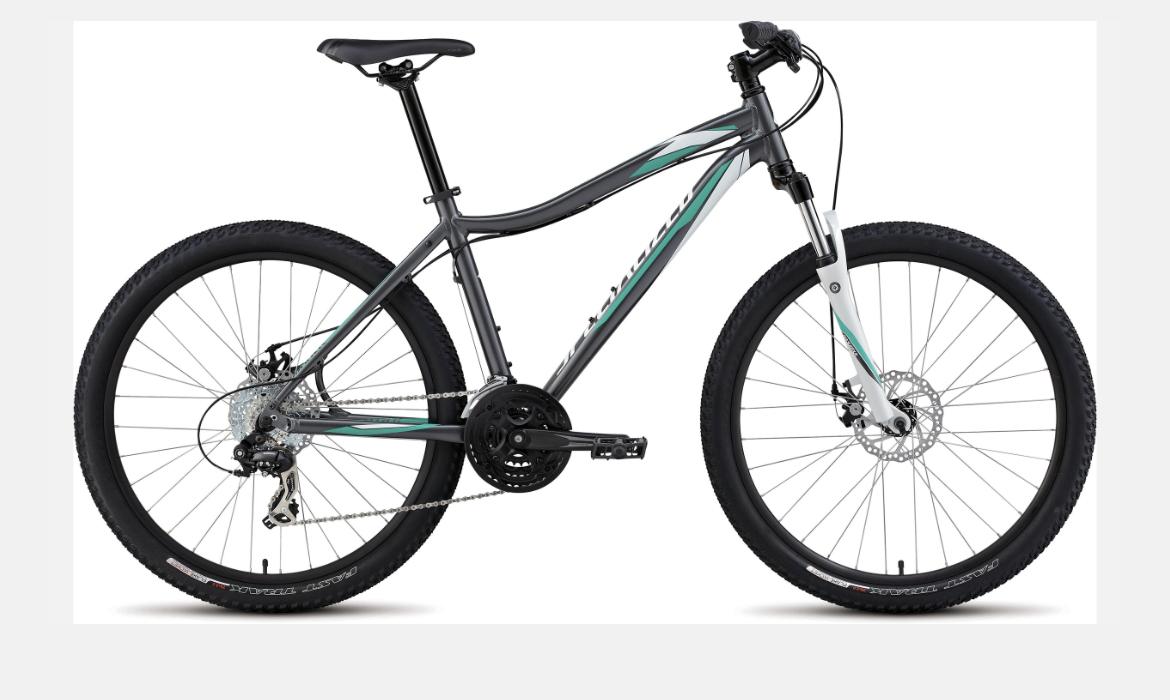 Specialized Myka Silver, gray or bare metal