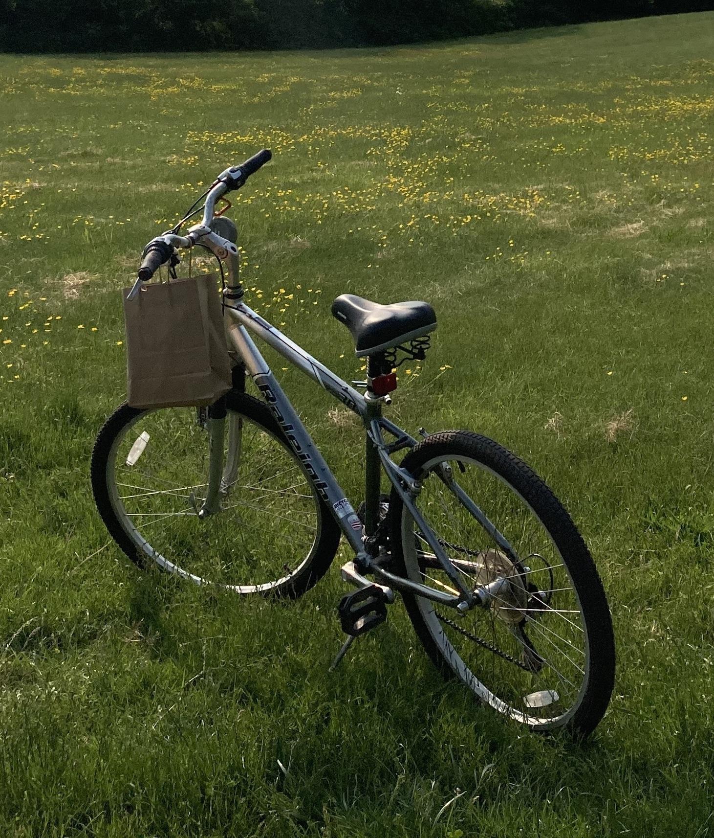 Raleigh SC30 Silver, gray or bare metal