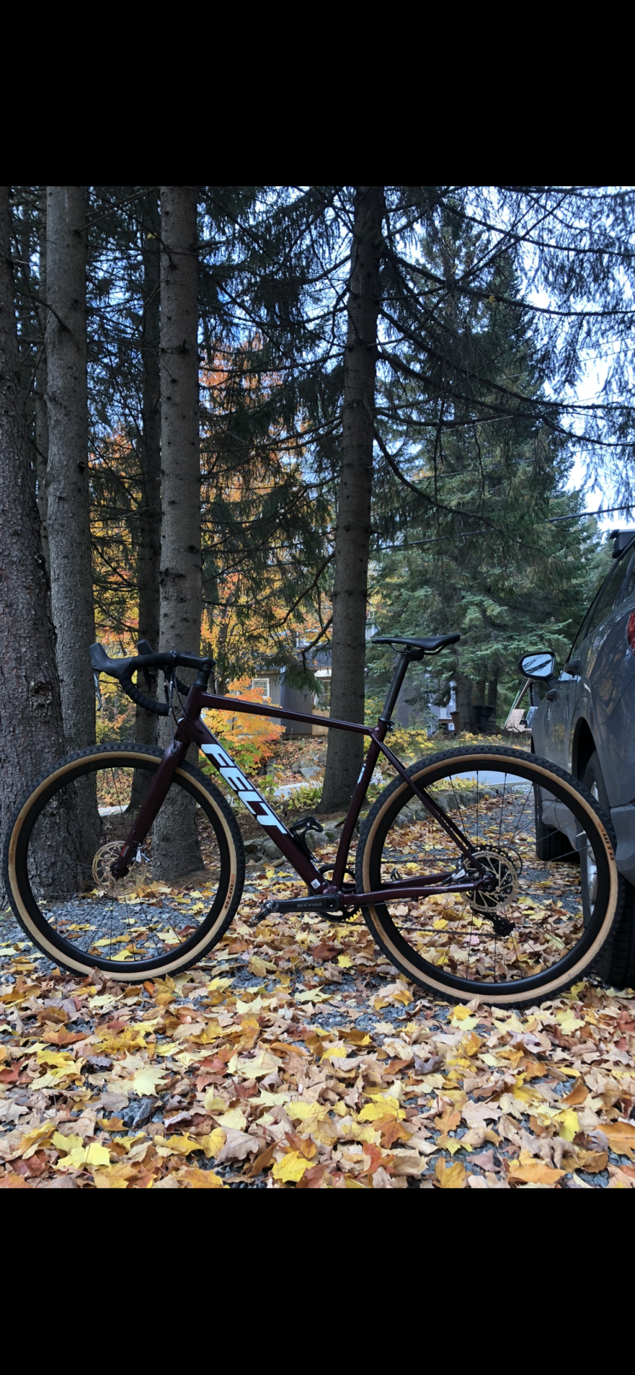 2021 Felt Breed Brown