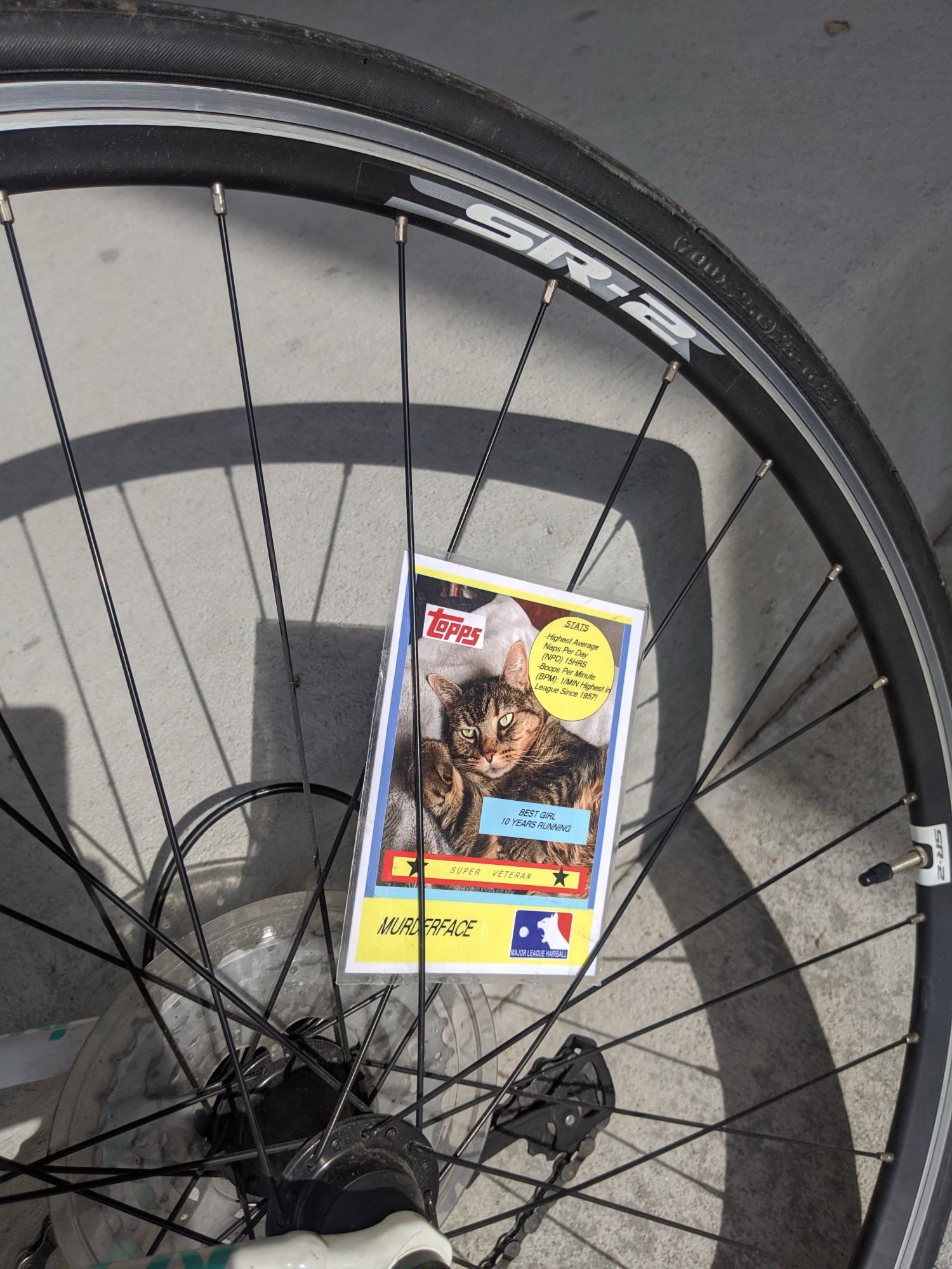 LeMond Avail 3 White, Blue, and Green