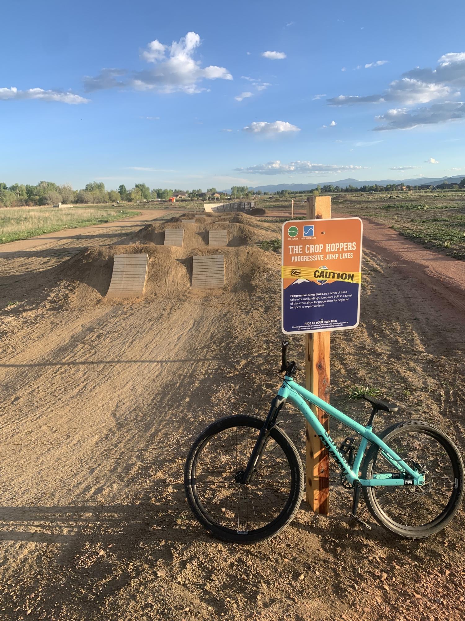 NS Bikes Decade frameset Teal