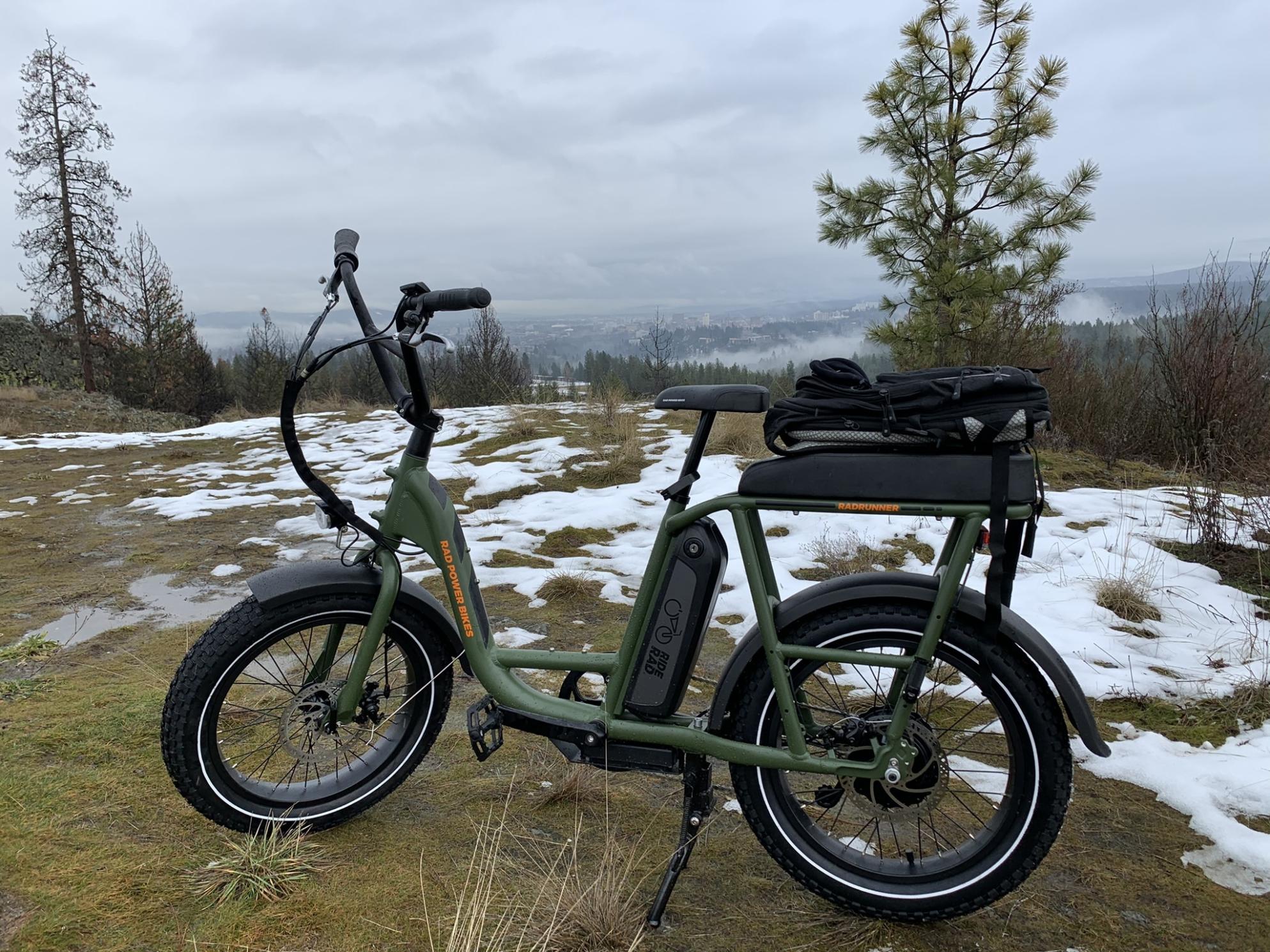 2020 Rad Power Bikes RAD RUNNER Green