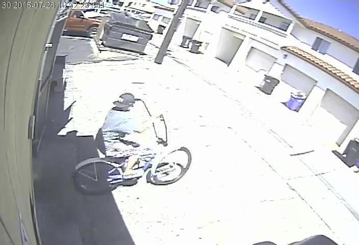 2014 New Belgium/Fat Tire Cruiser Blue and White