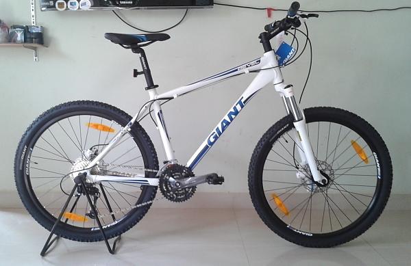 2010 Giant Cypress DX (White/Blue) White