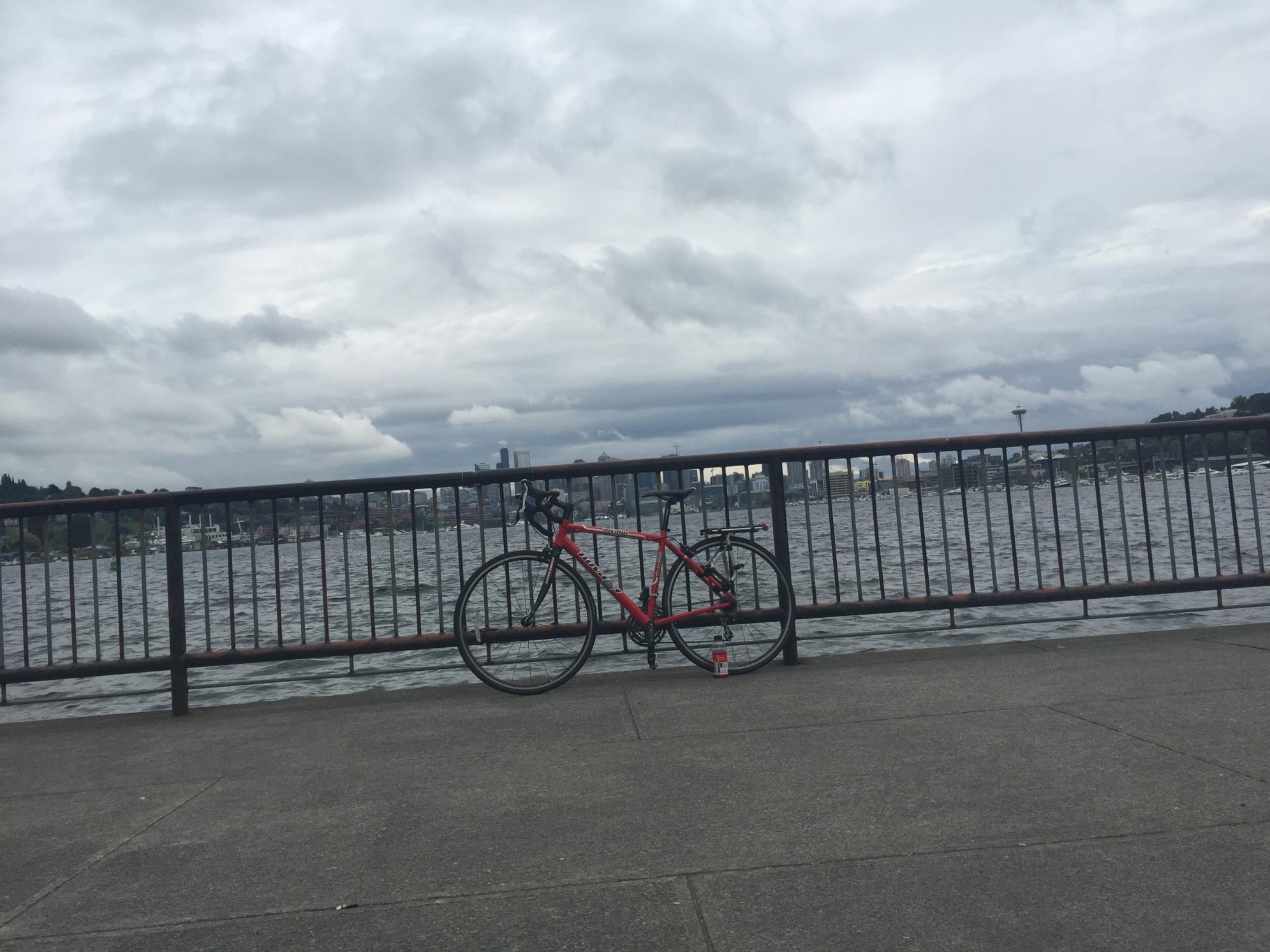 2013 Novara Small Red, Black, and Stickers tape or other cover-up