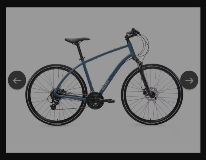 2021 REI Co-op Blue