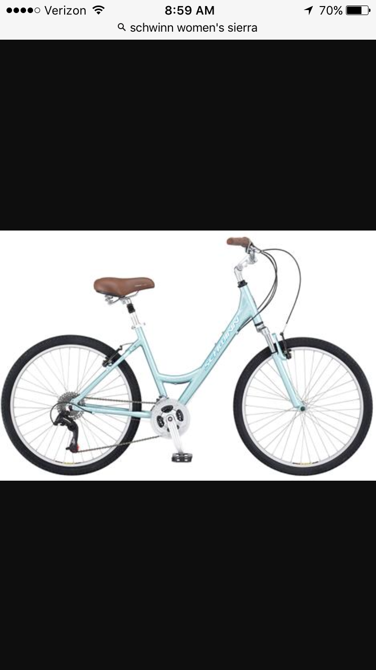 2010 Schwinn Voyager GS Blue