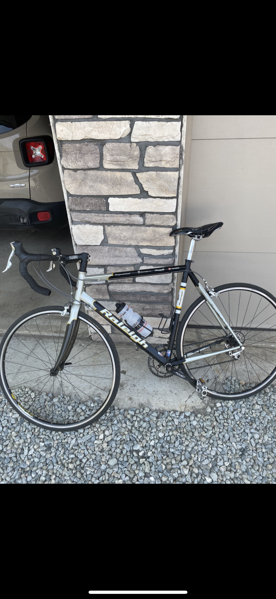 Raleigh Professional Black, Silver, gray or bare metal, and Yellow or Gold