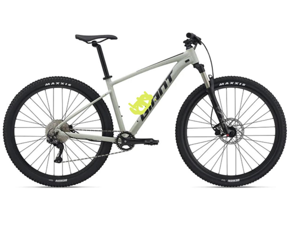 2022 Giant Talon 29 1 XL Desert Sage (SXC2 fork) Silver, gray or bare metal