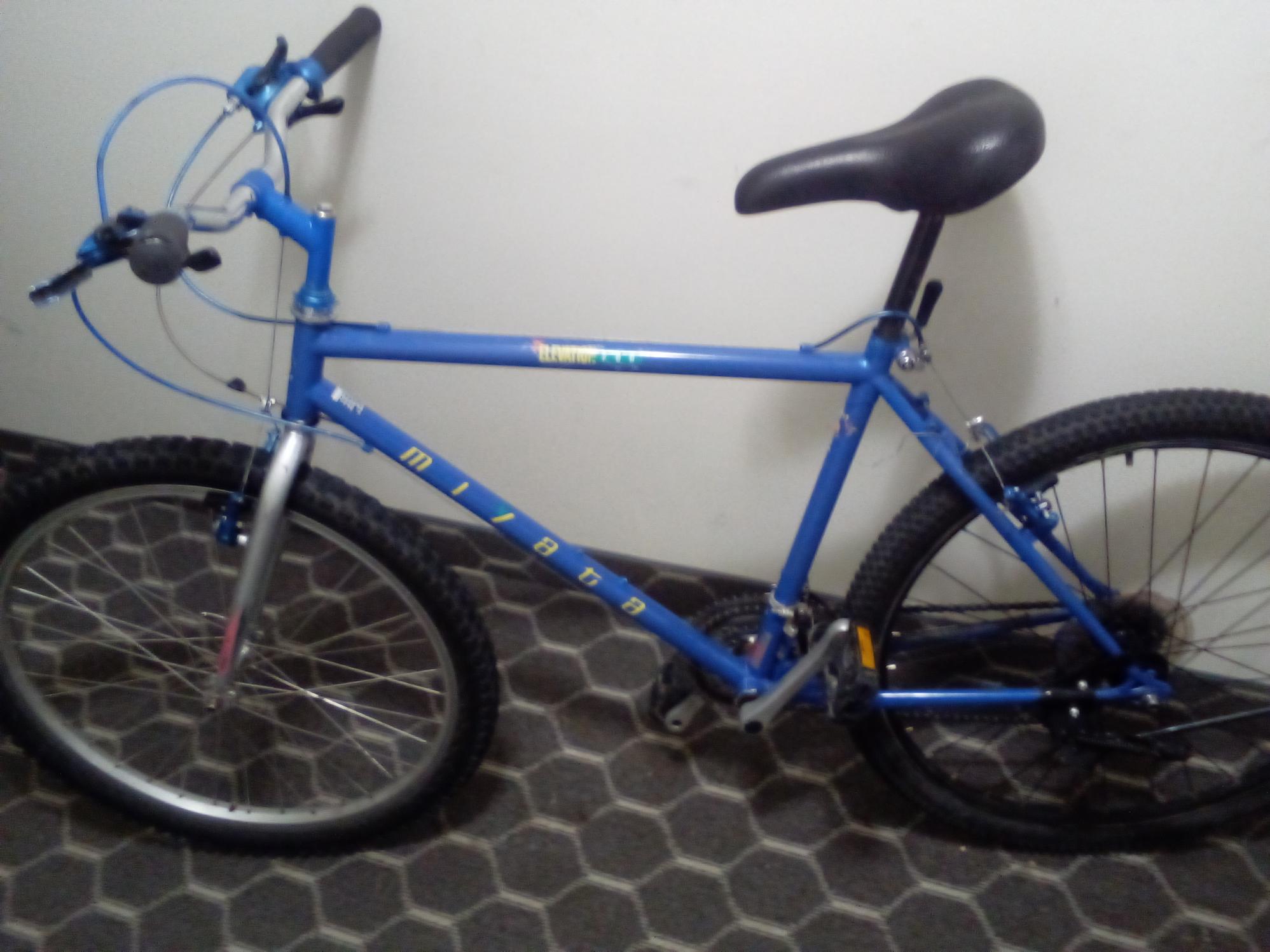 1993 Miyata Miyata Blue