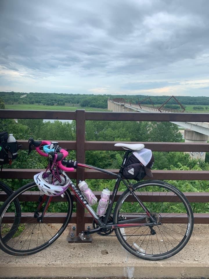 2016 Giant Avail Black, Silver, gray or bare metal, and Pink