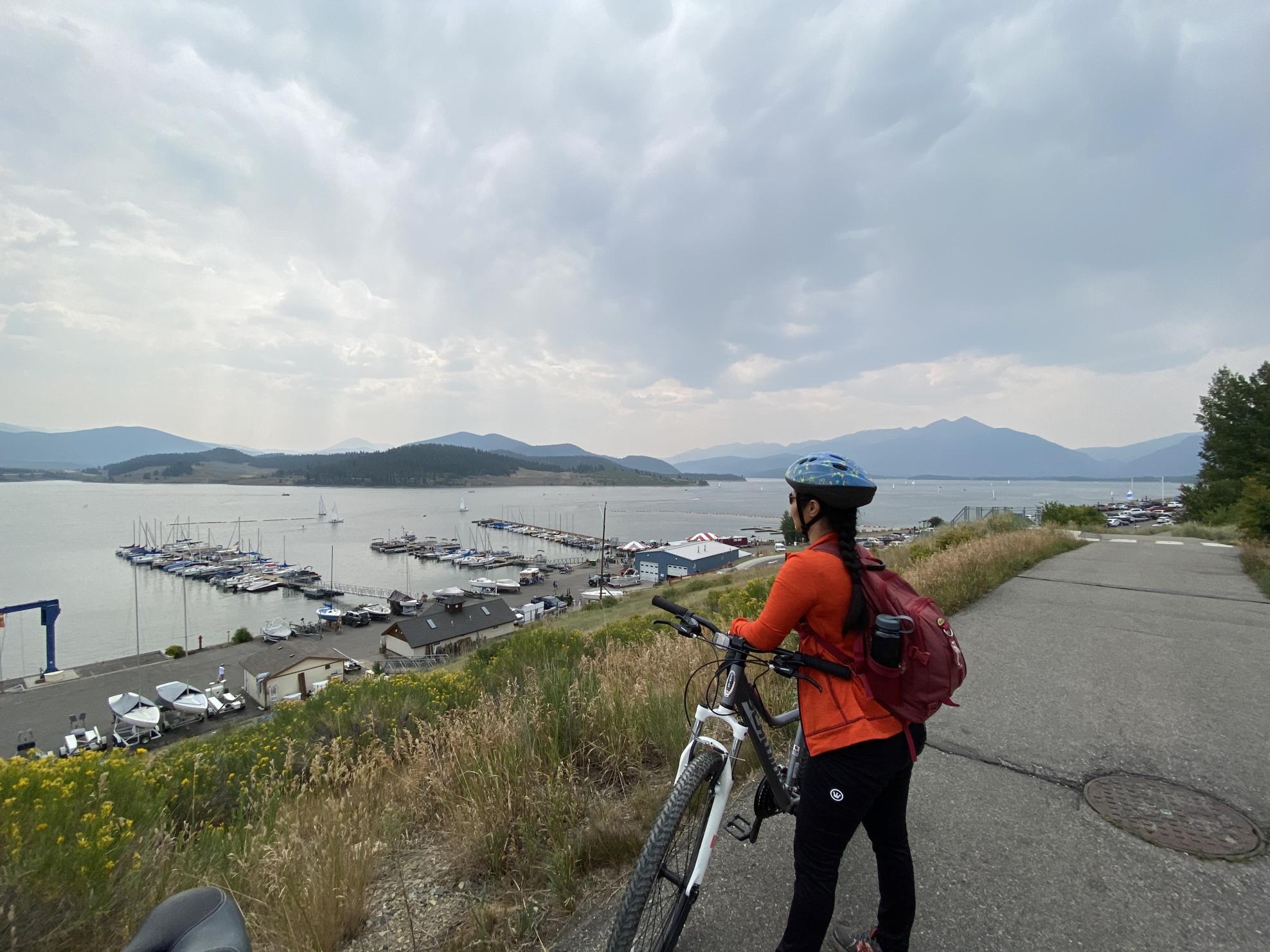 2018 Schwinn Silver, gray or bare metal and Pink