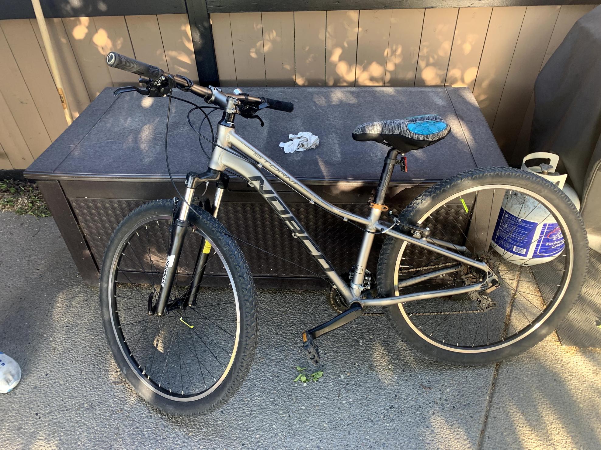 Norco Bikes Storm Silver, gray or bare metal