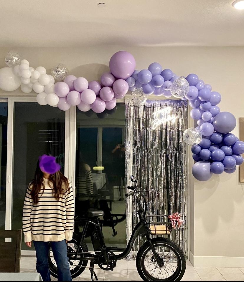 2021 Rad Power Bikes Low drop frame Black