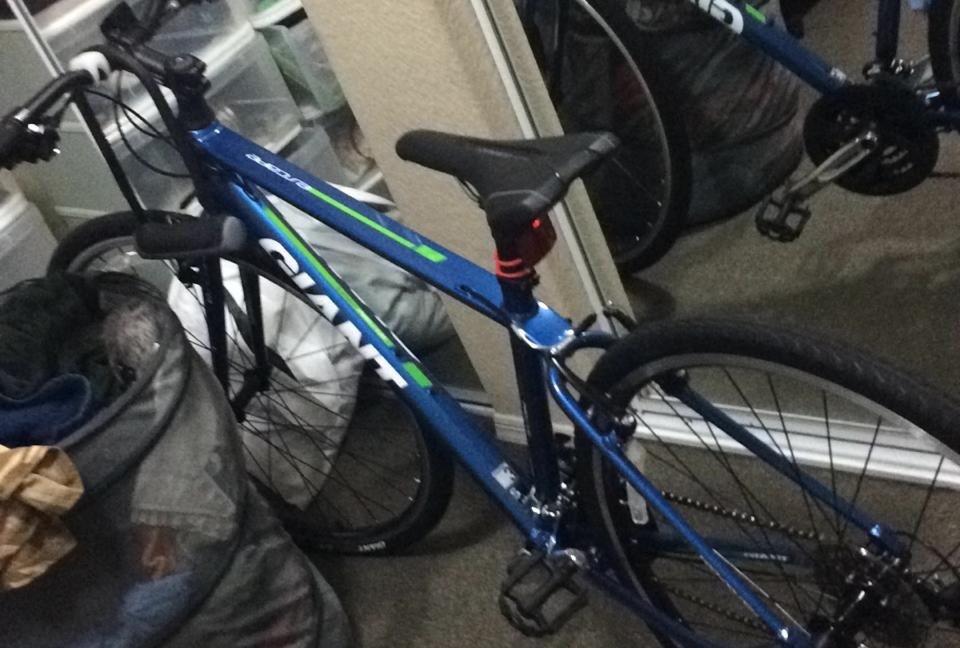 2014 Giant Escape 3 Small Metallic Blue/Green  Blue and Green