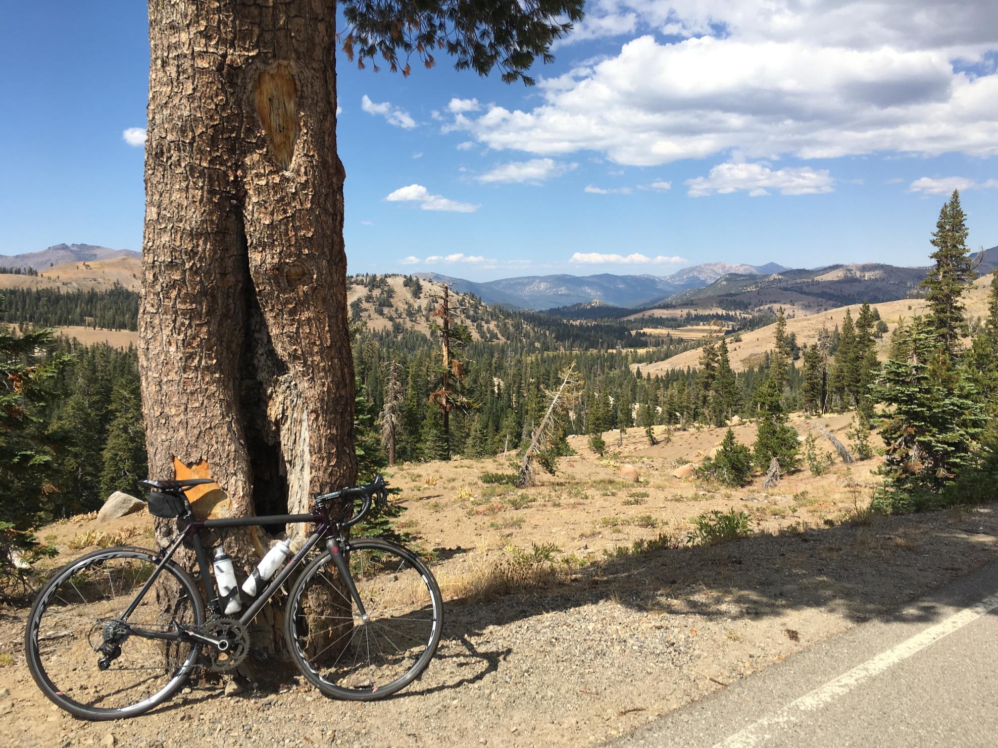 2003 Calfee Design Dragon Fly Pro Black