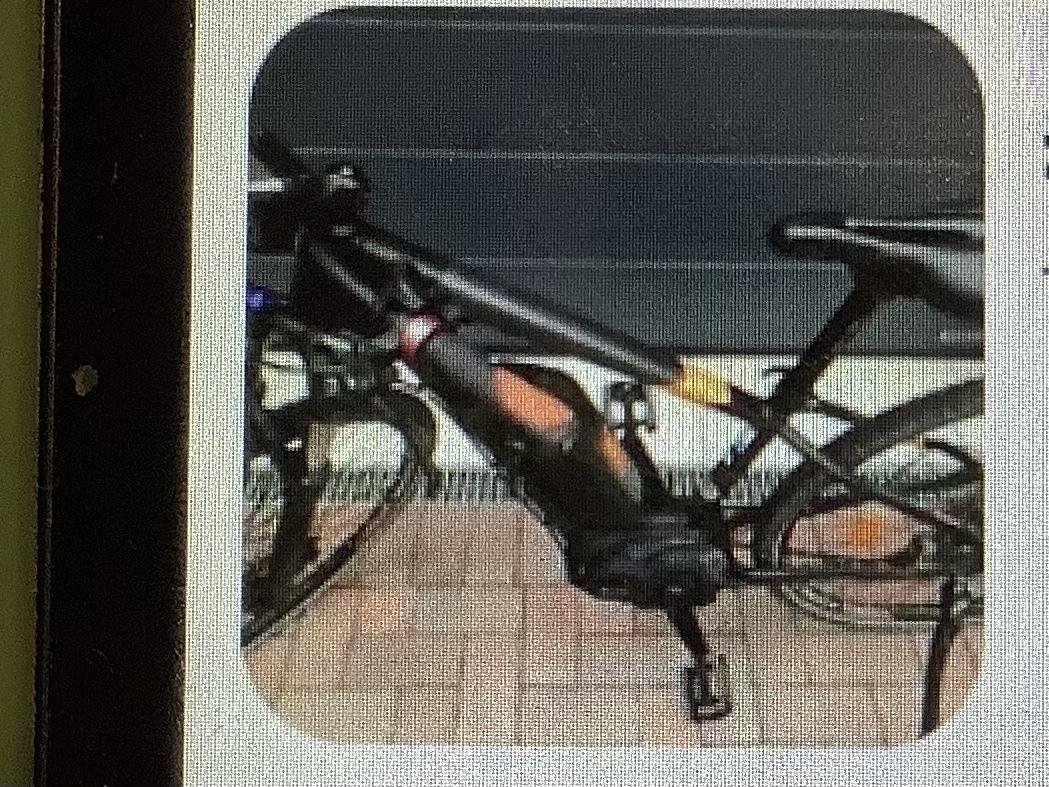 2018 Trek Mountain bike Black and Orange