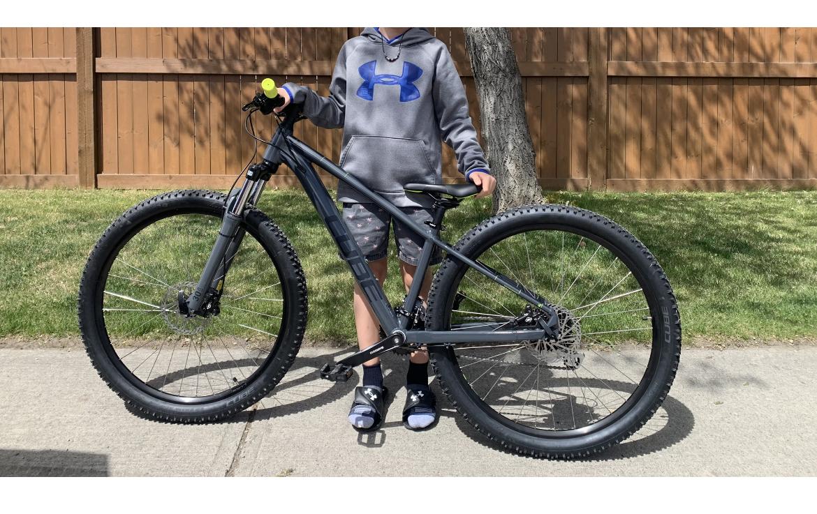 2022 Cube Aim Pro Silver, gray or bare metal