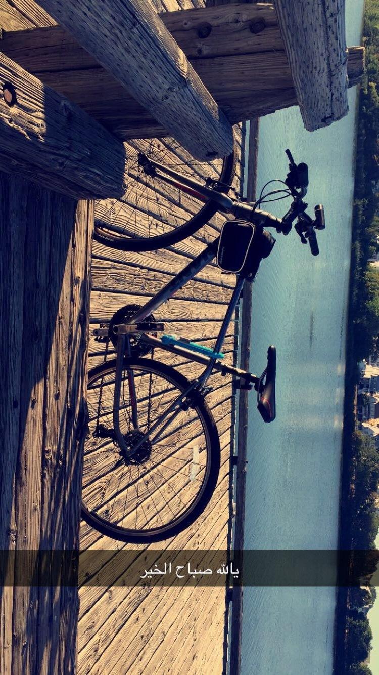 2016 Giant 16 Escape Silver or Gray