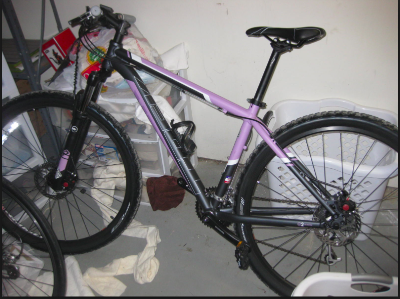 2013 Trek Mamba Purple