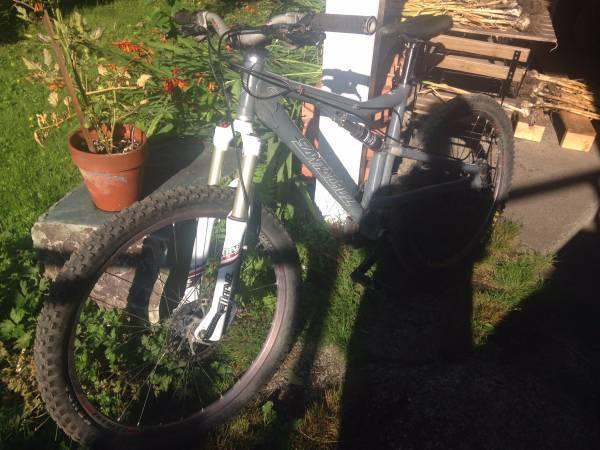 2016 Santa Cruz Heckler Silver or Gray