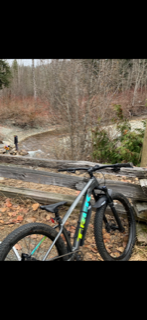 2020 Trek ROSCOE Silver, gray or bare metal