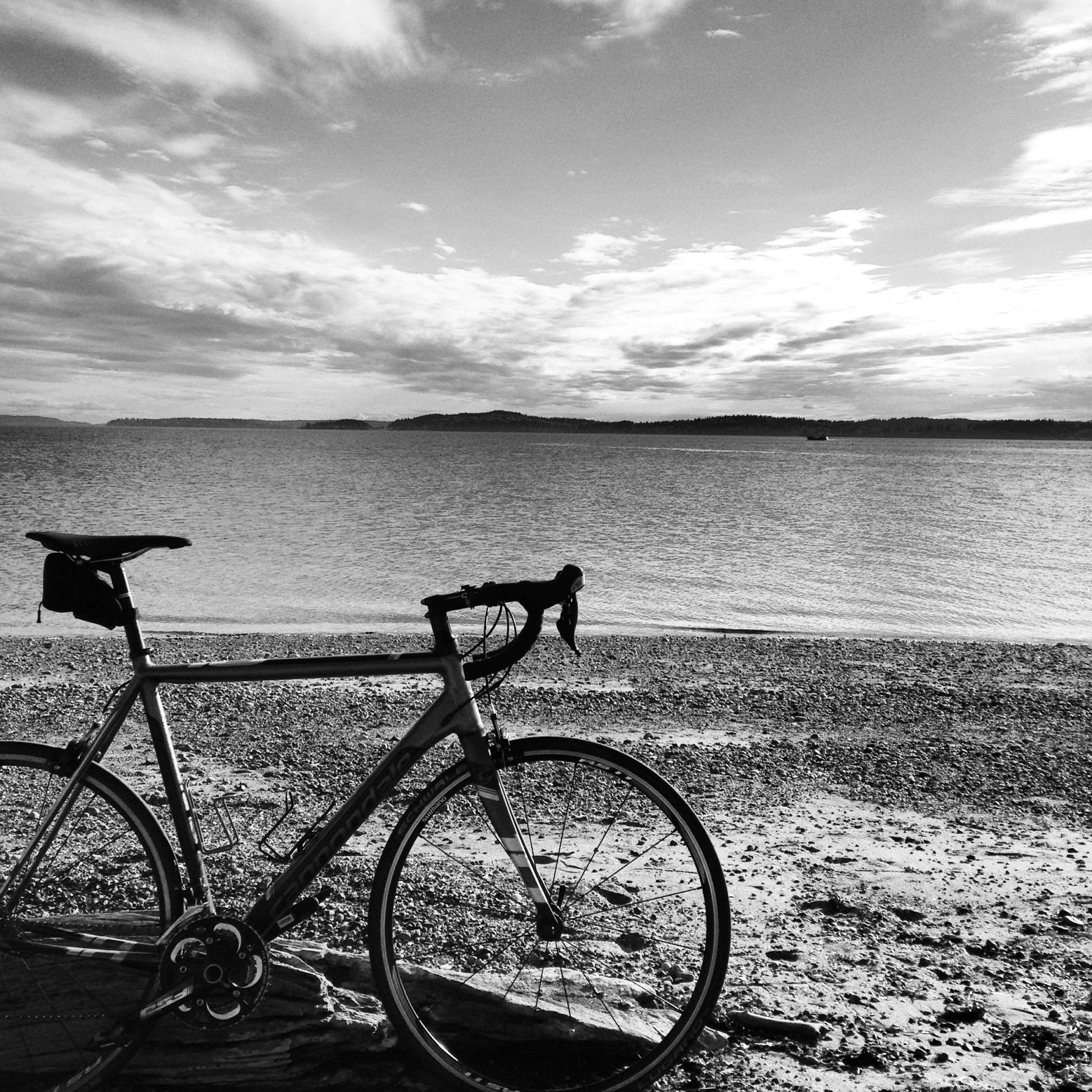 2014 Cannondale Caad10 5 105 Silver or Gray