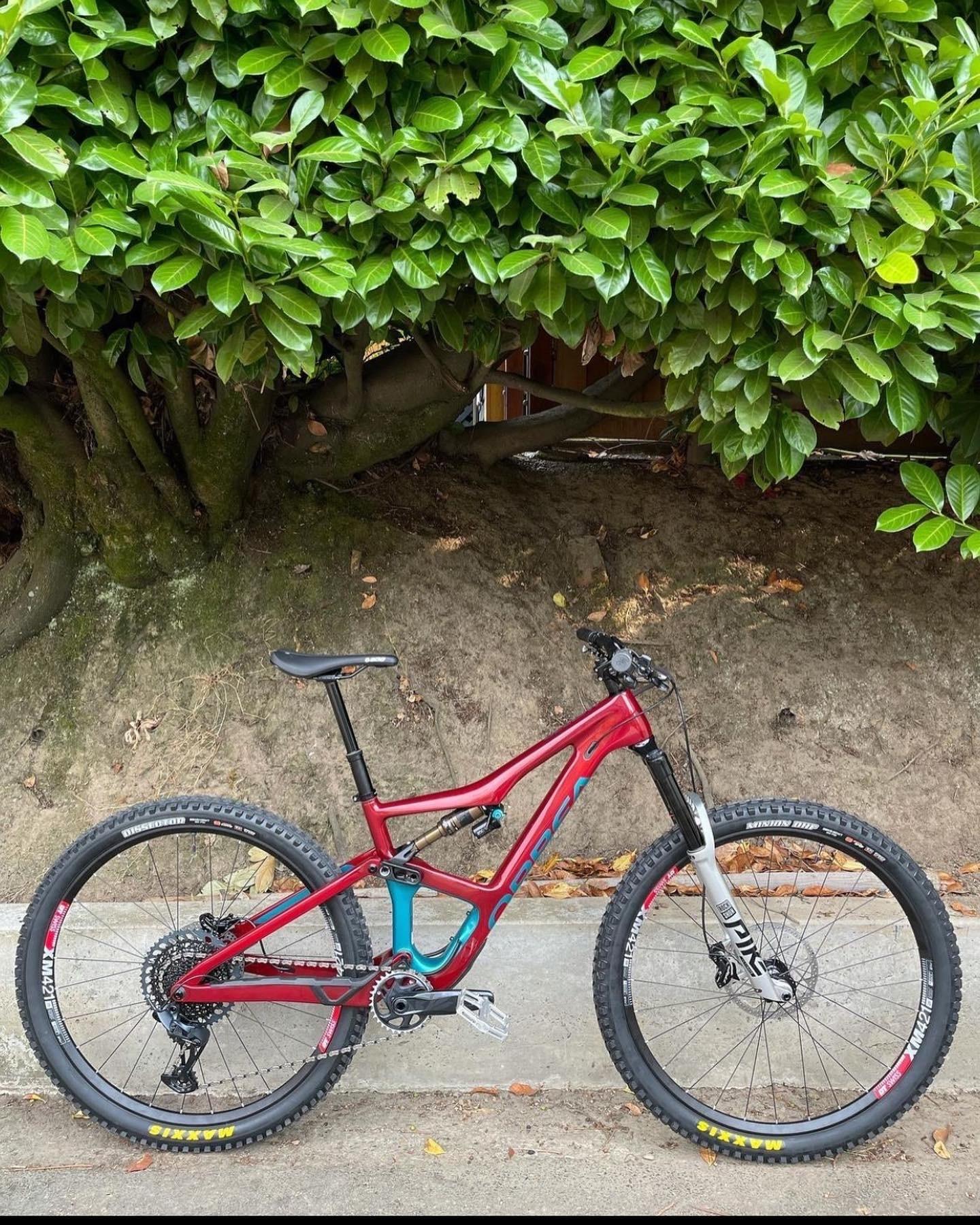 2021 Orbea Occam Red
