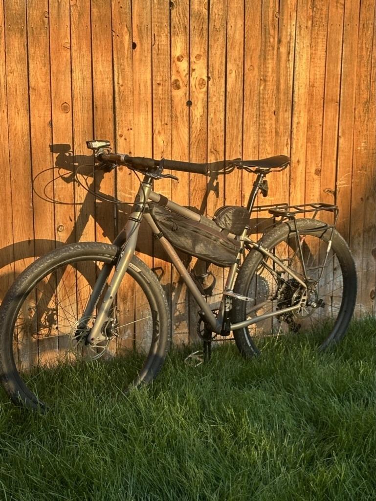 2017 Salsa Fargo Silver, gray or bare metal