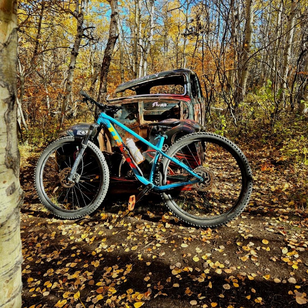 2023 Trek Roscoe Y Teal and Orange