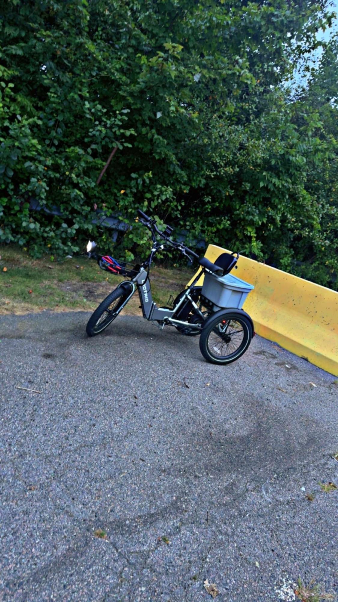 2024 Lectric eBikes Xp trike tricycle Silver, gray or bare metal