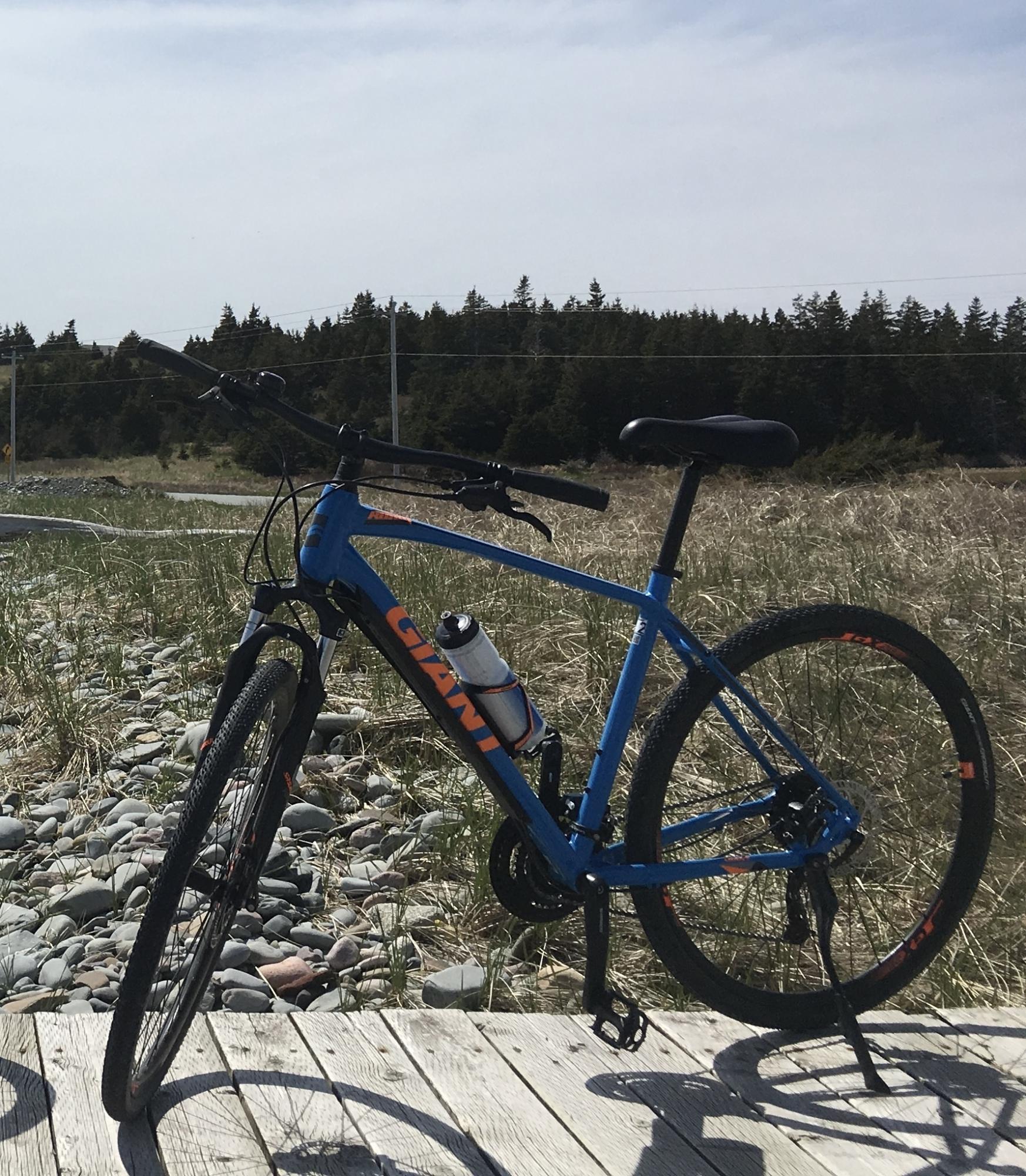 2019 Giant Roam Disc 2 Blue and Orange