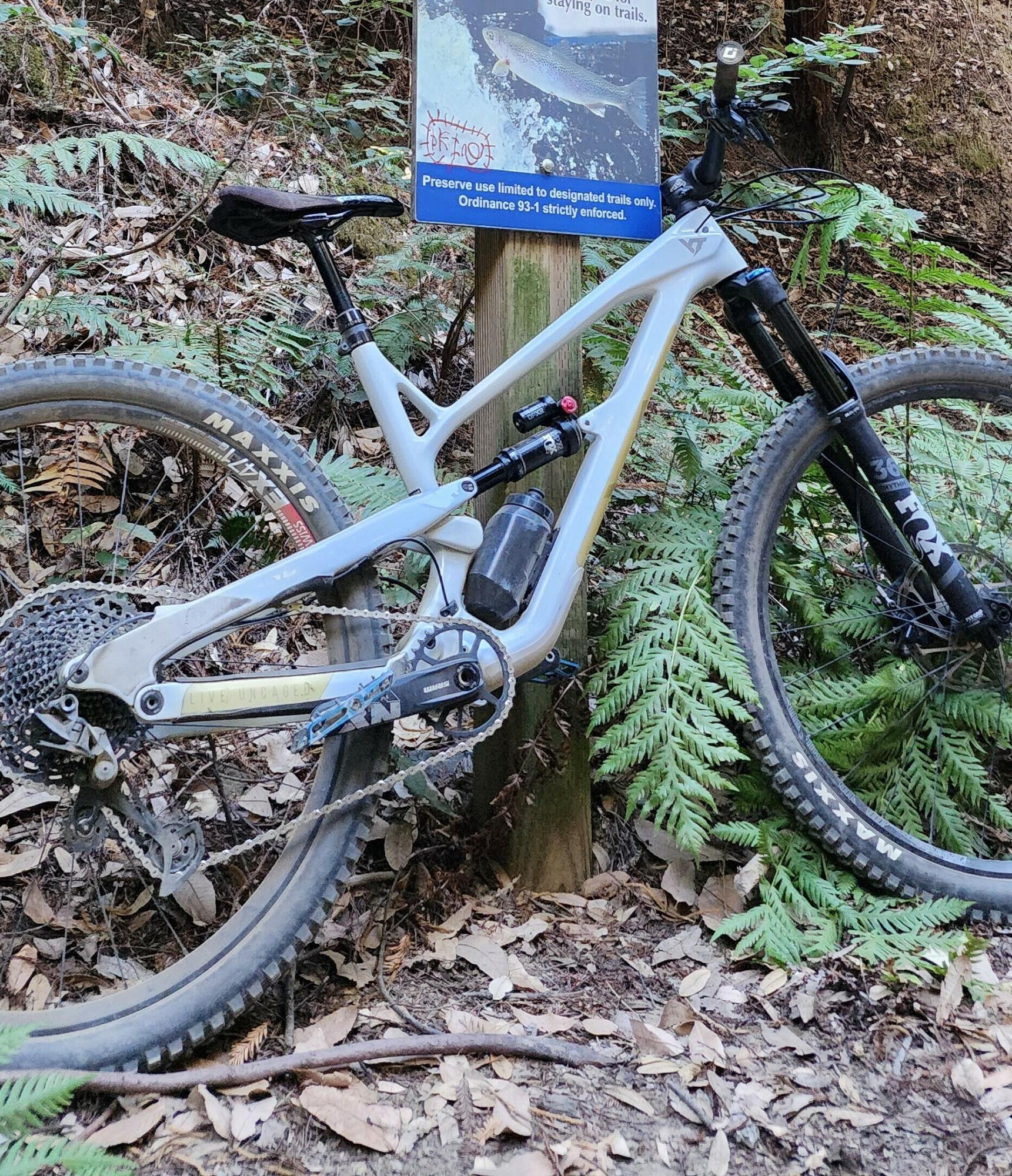 2020 YT Comp 29 White and Brown