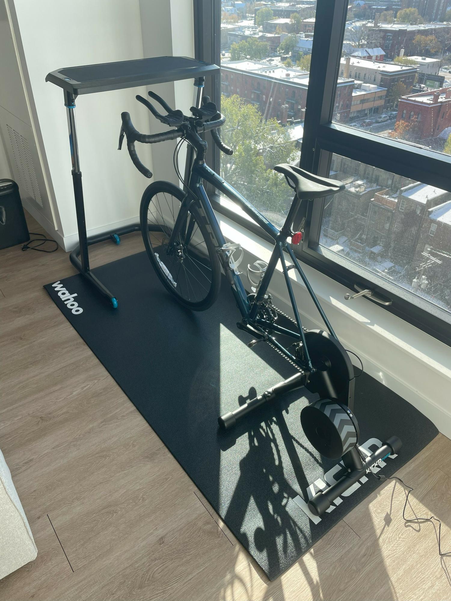 2022 Trek DOMANE AL 2 DISC 56 GLOSS MULSANNE BL... Blue