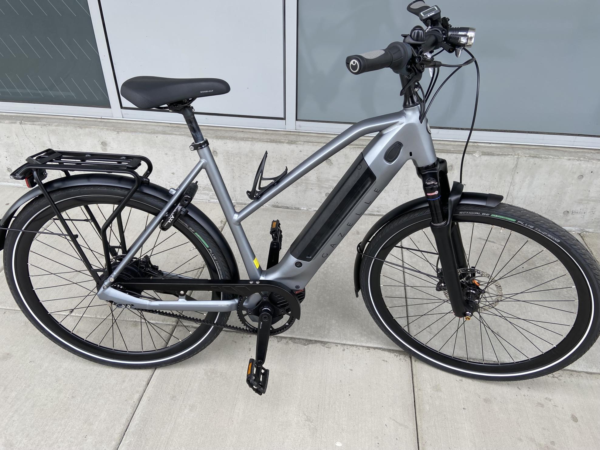 2022 Gazelle Silver, gray or bare metal