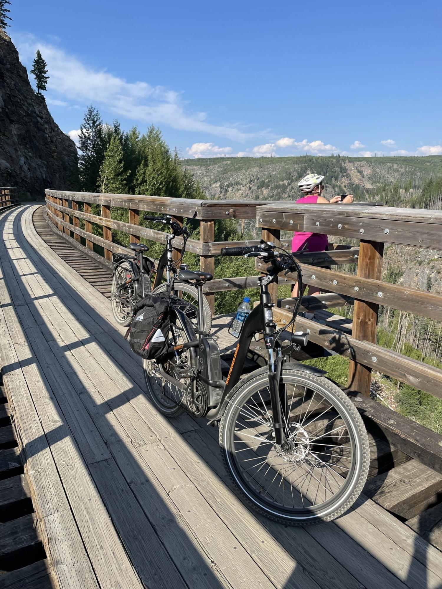 2021 Rad Power Bikes Rad City step thru model 3 Black