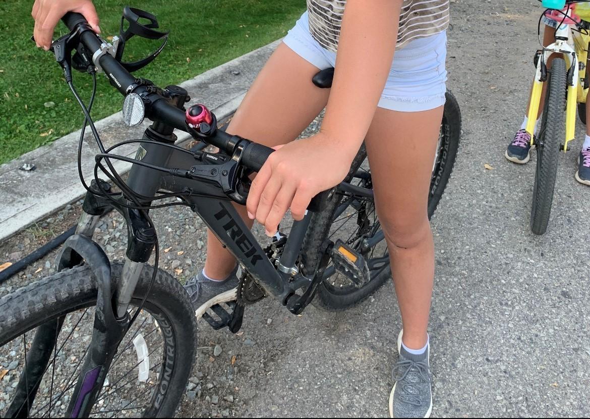 2018 Trek WM Skye S Silver, gray or bare metal