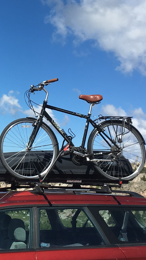 2011 Trek Allant WSD Black and Brown