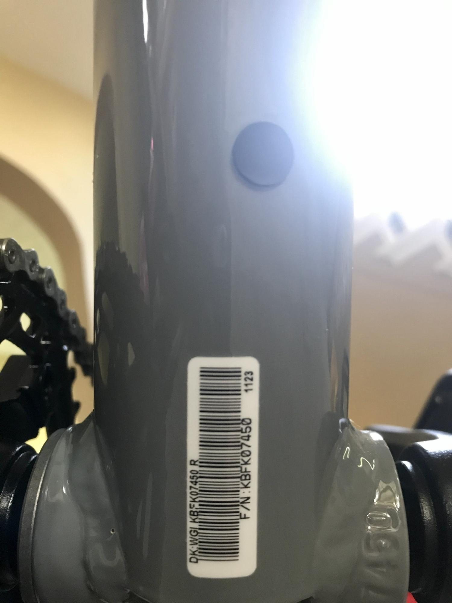 2021 Giant Small Green