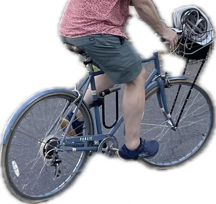 PUBLIC bikes Blue