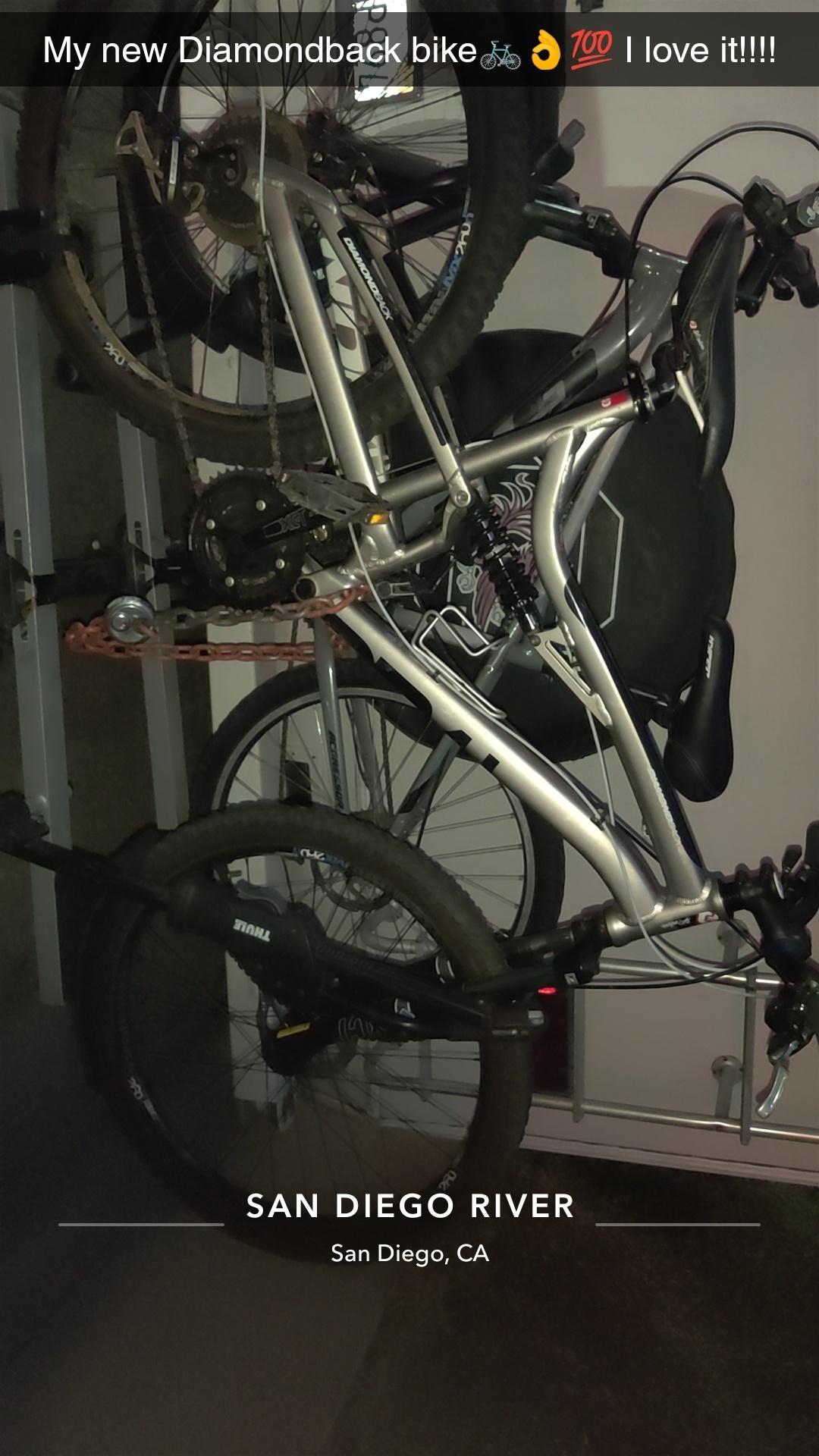 Diamondback Recoil DB4L Silver, gray or bare metal and Black