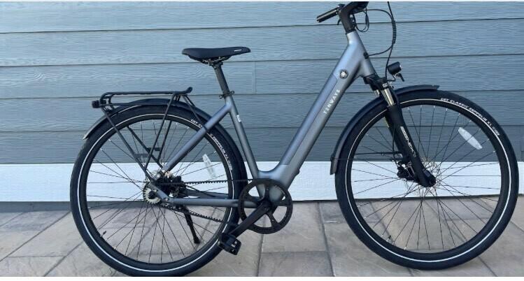 2022 Tenways C-Go 800S Silver, gray or bare metal