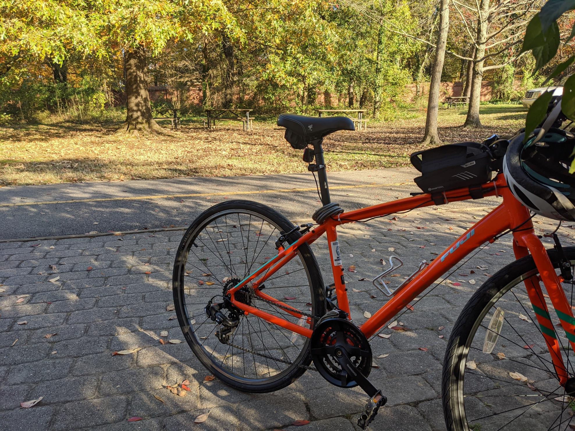2019 Fuji Absolute Orange and Green