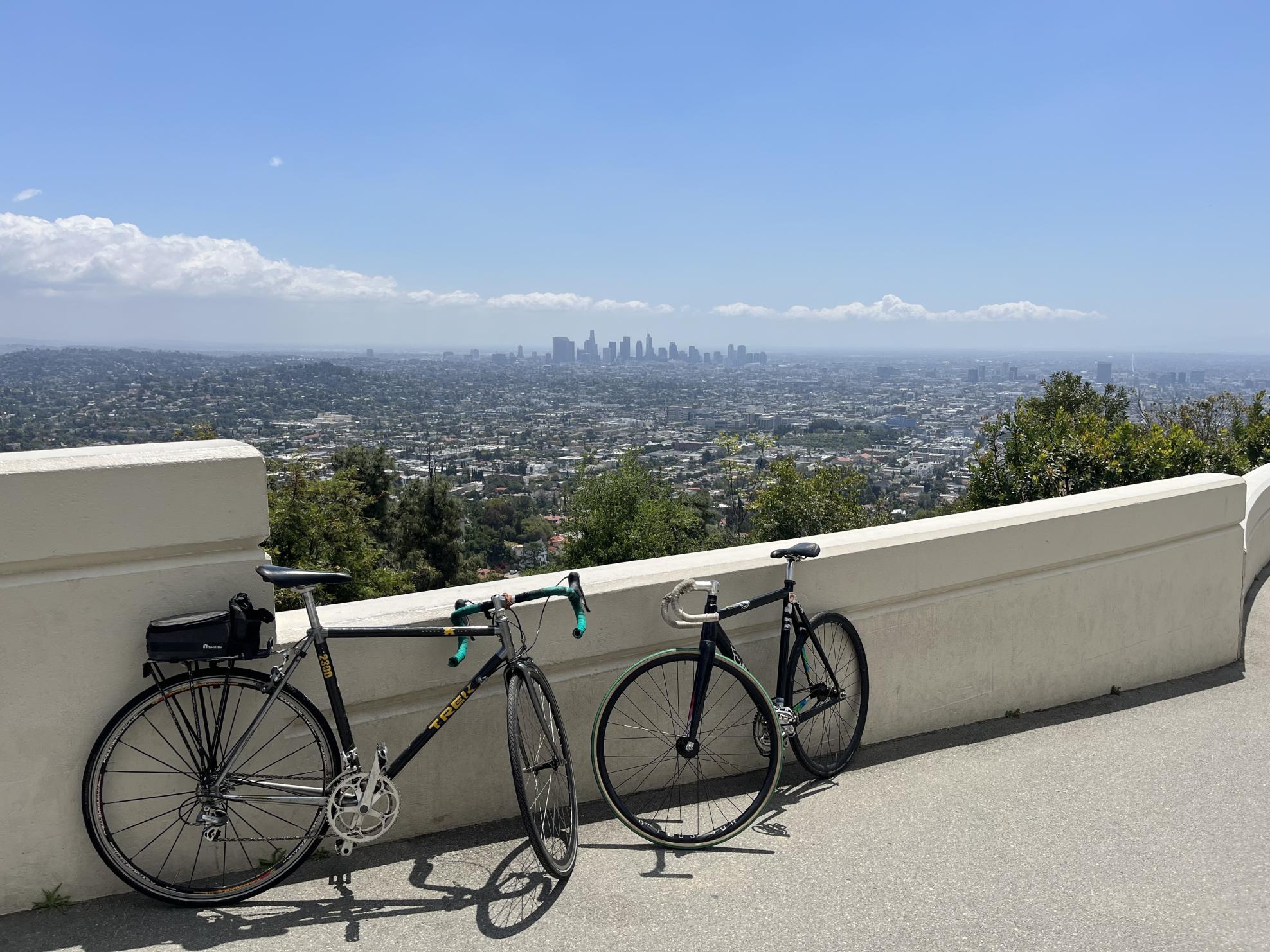 2024 Trek 2300 Black