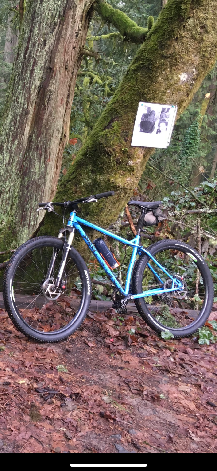 2013 Surly Karate Monkey Blue