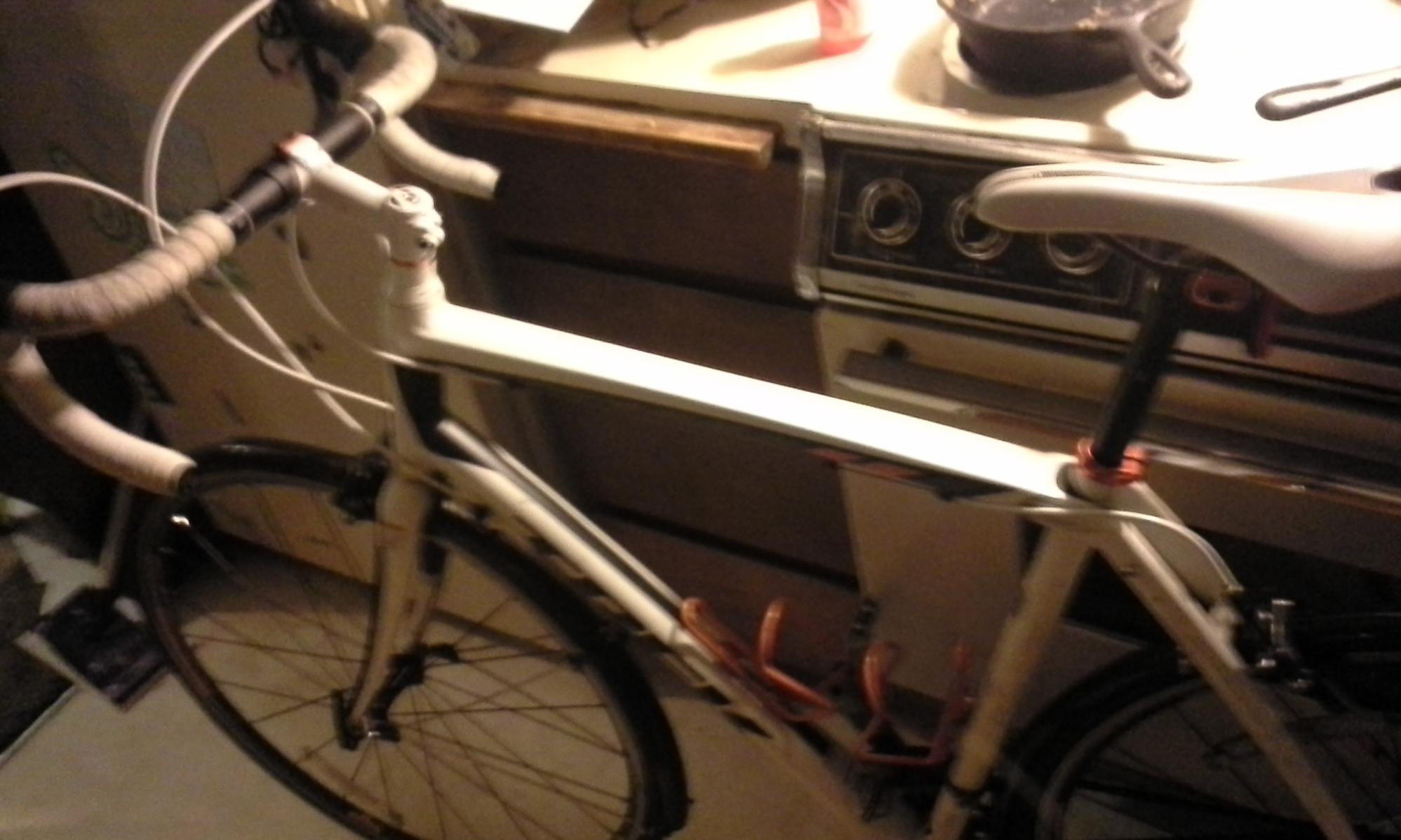 2014 Trek Domane 2.0 (Compact or Triple) White