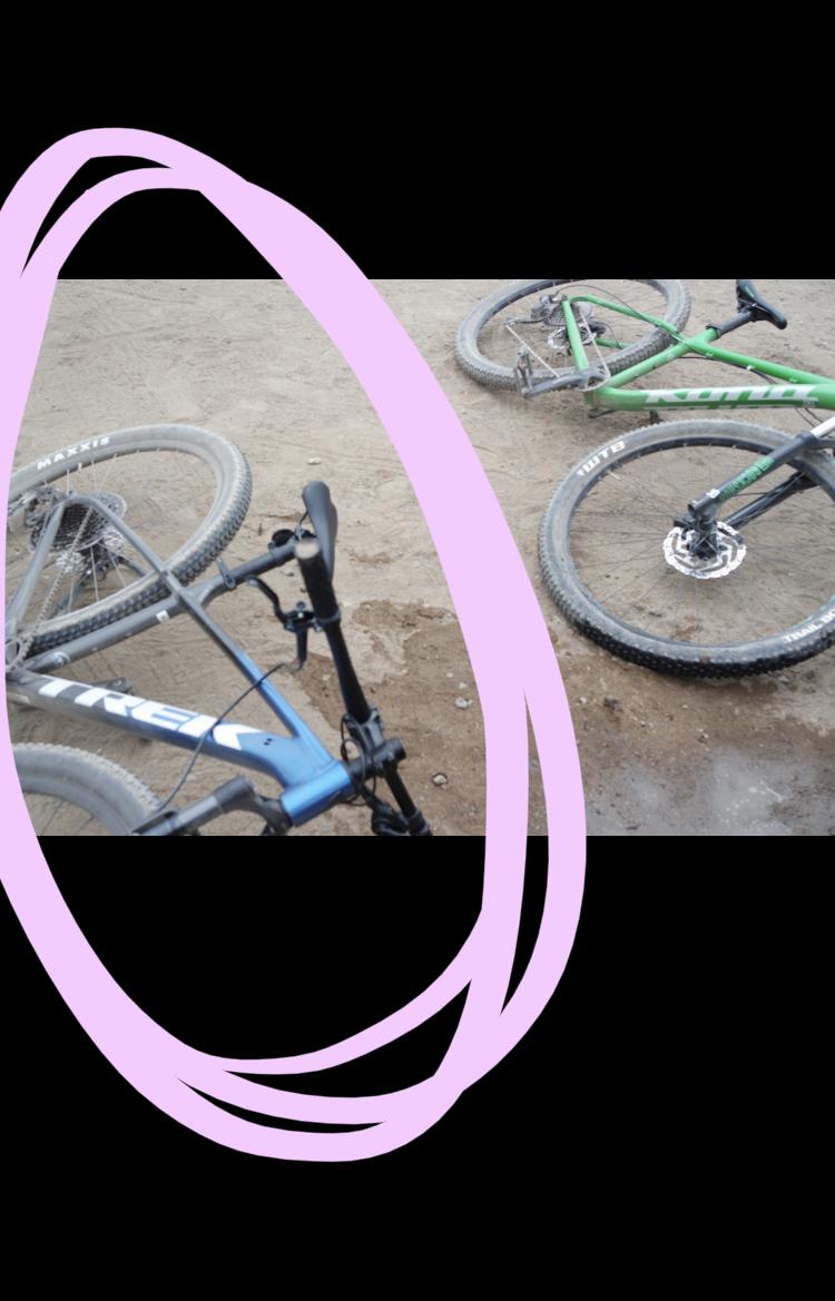 2021 Trek Marlin Blue